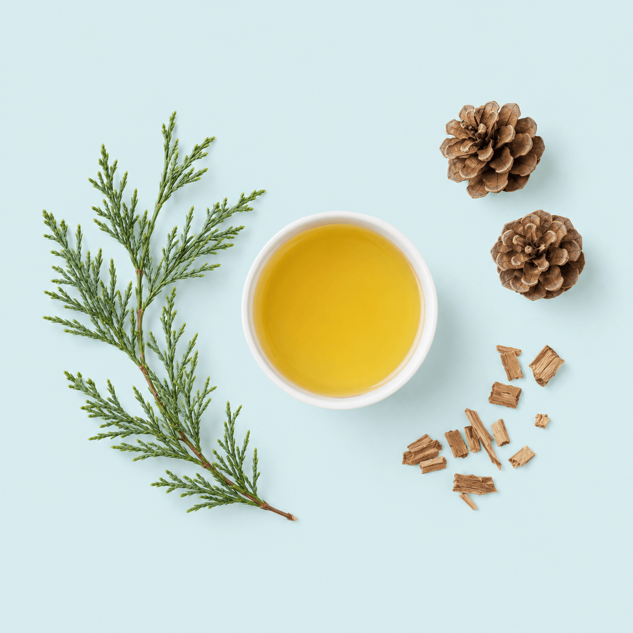 Cedarwood (Cedrus spp.)