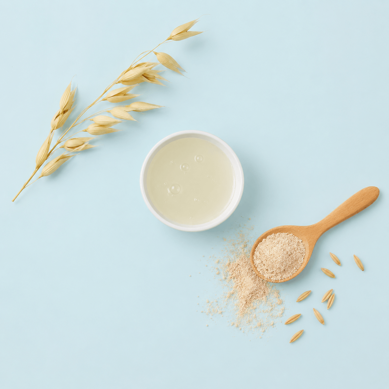 Colloidal oats — Avena sativa