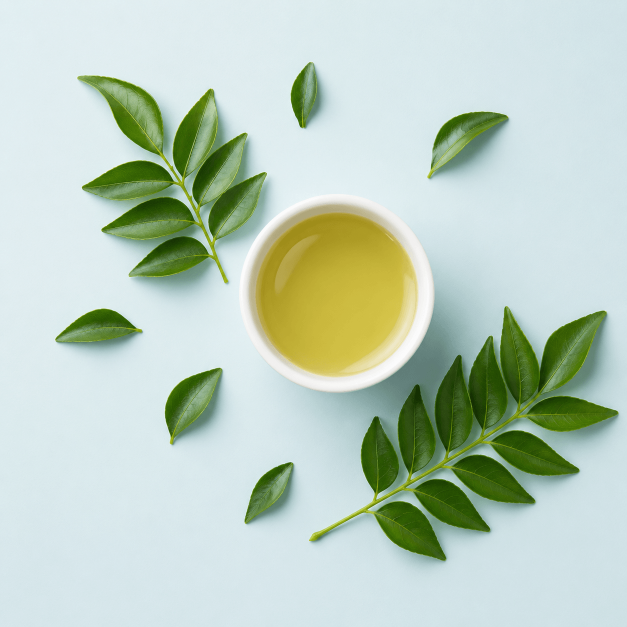 Curry leaf (Murraya koenigii)