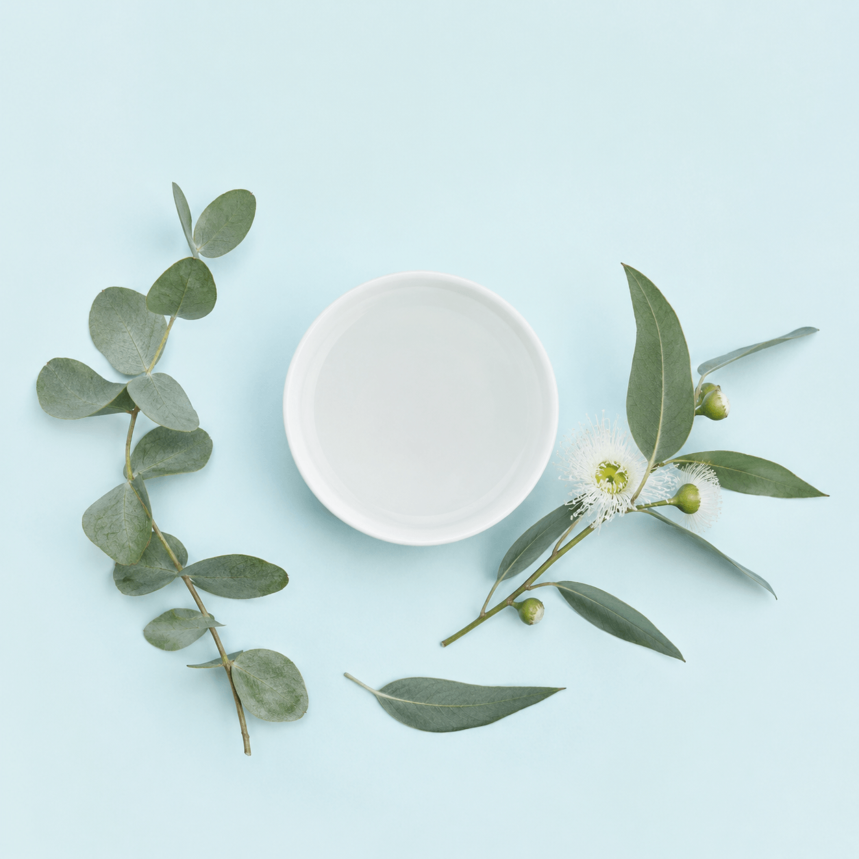 Eucalyptus Hydrosol