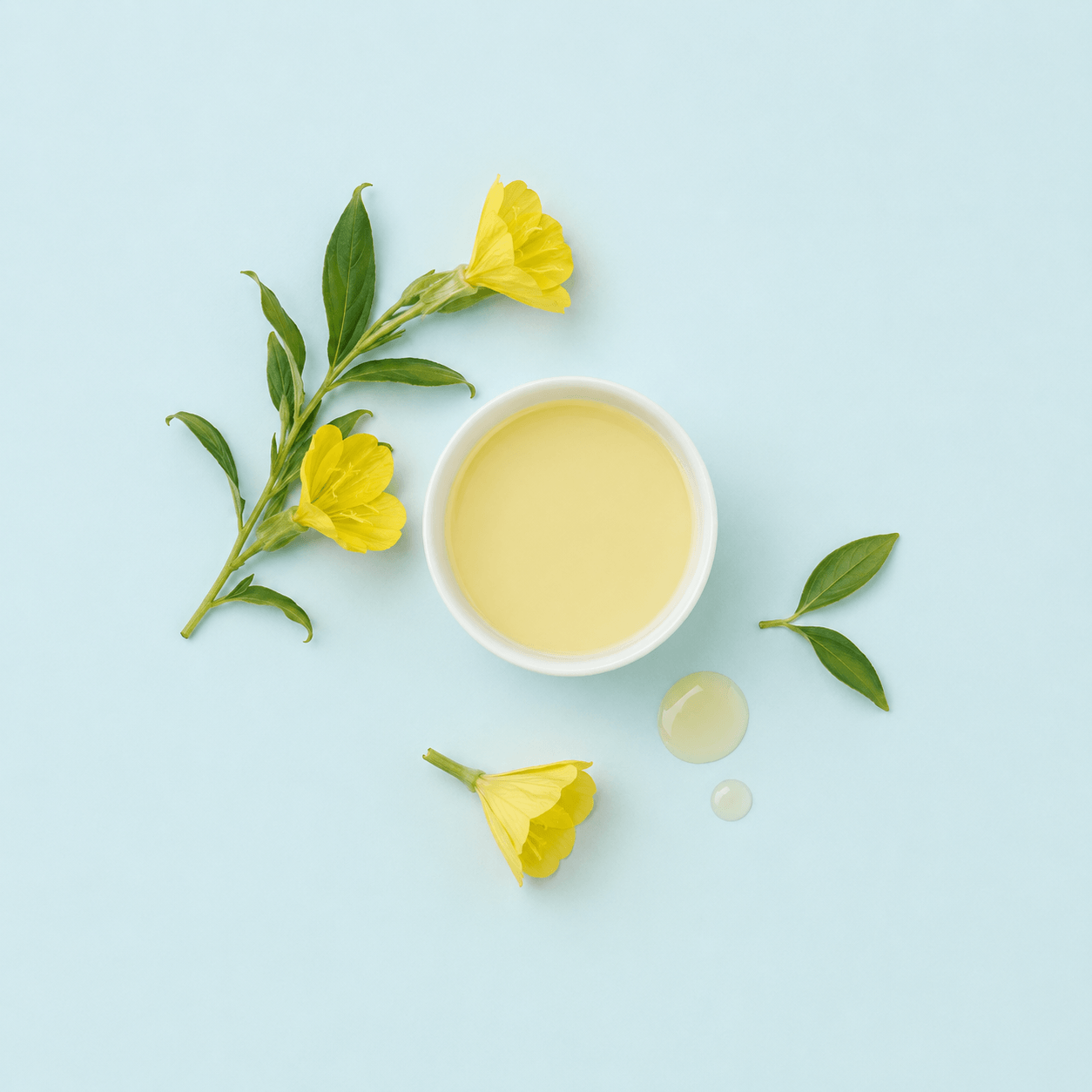 Evening Primrose Oil - 10% GLA