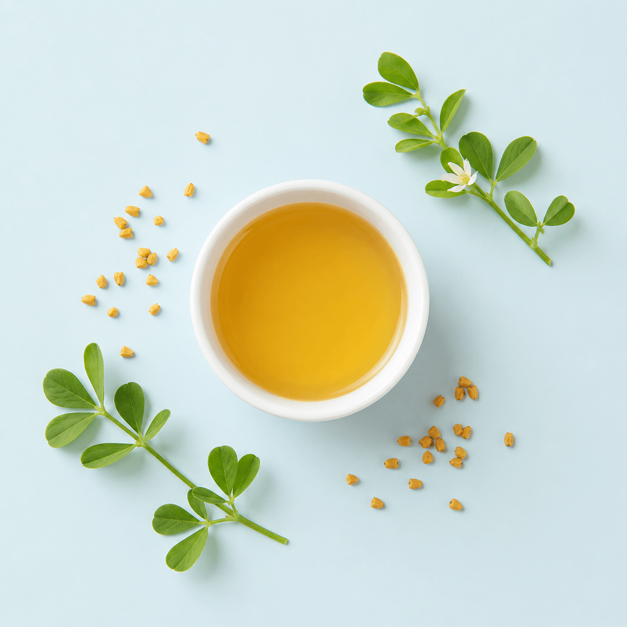 Fenugreek seed (Trigonella foenum-graecum)