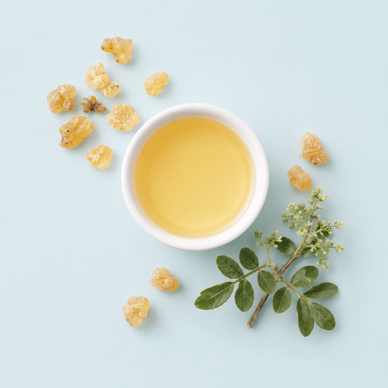 Frankincense (Boswellia spp.)