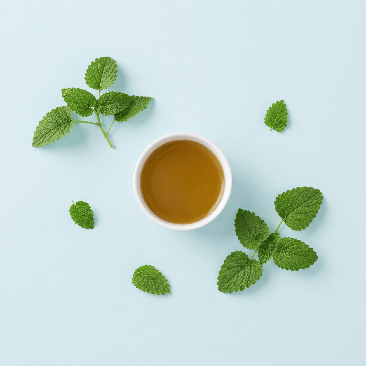 Lemon Balm Extract 10:1