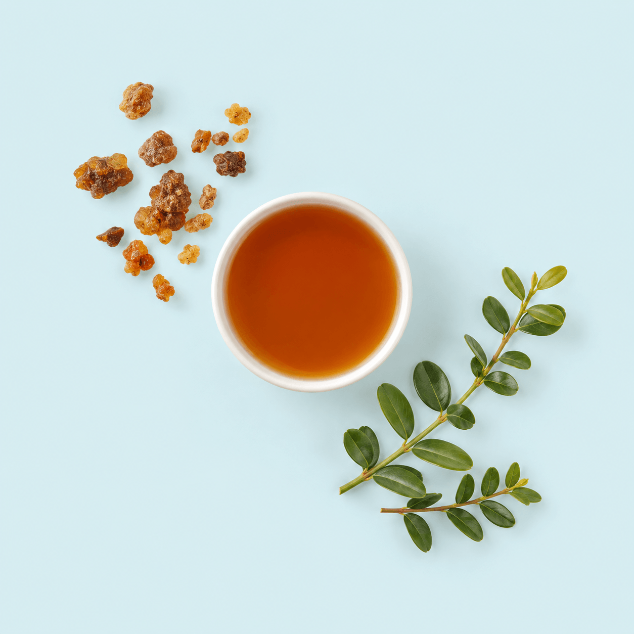 Myrrh (Commiphora myrrha)
