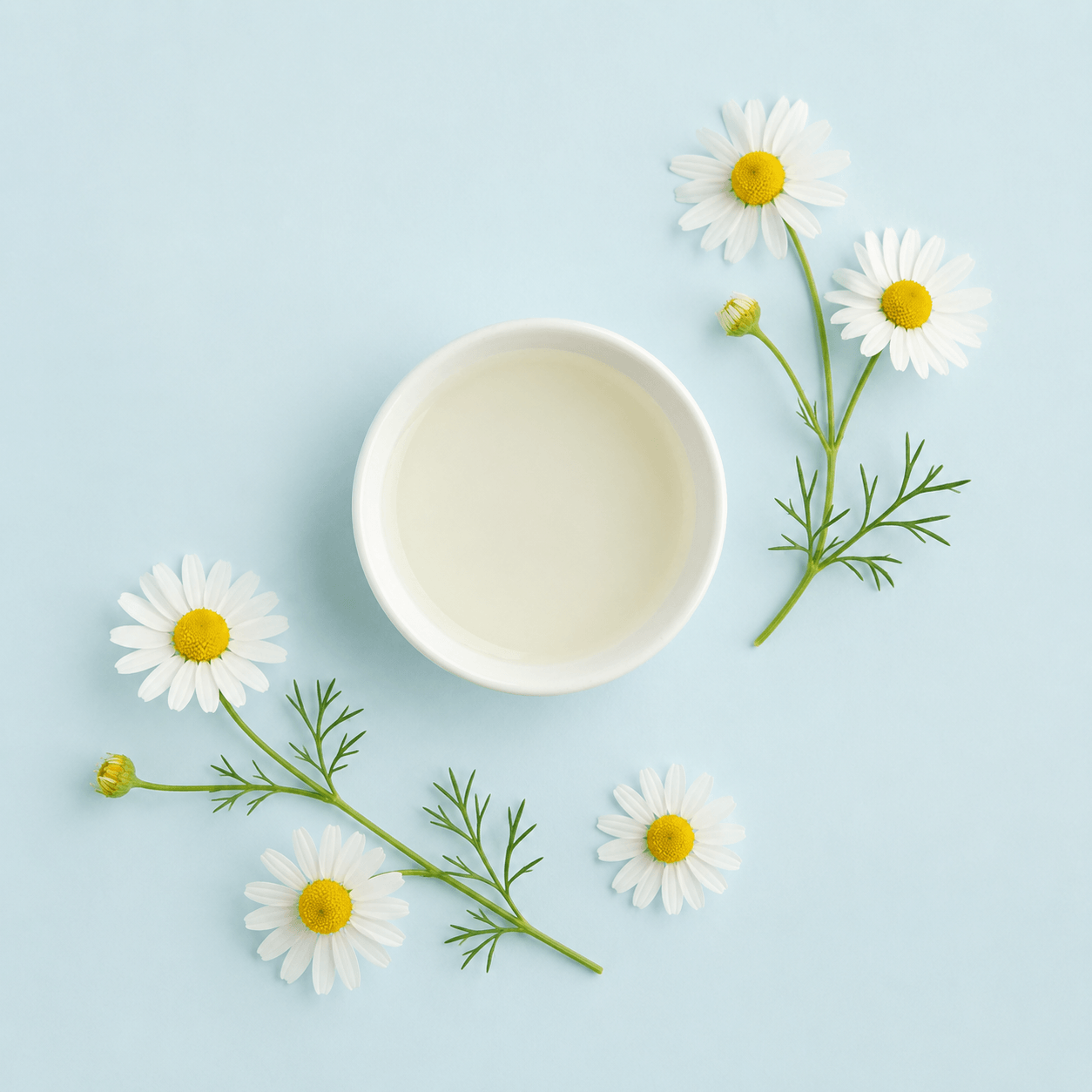 Natural Chamomile Hydrosol