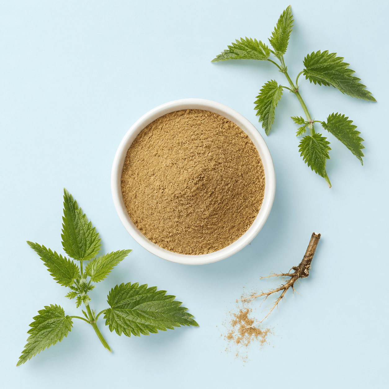 Nettle Root Powder