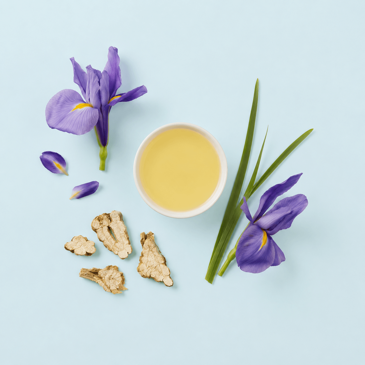 Orris (Iris germanica / I. pallida)