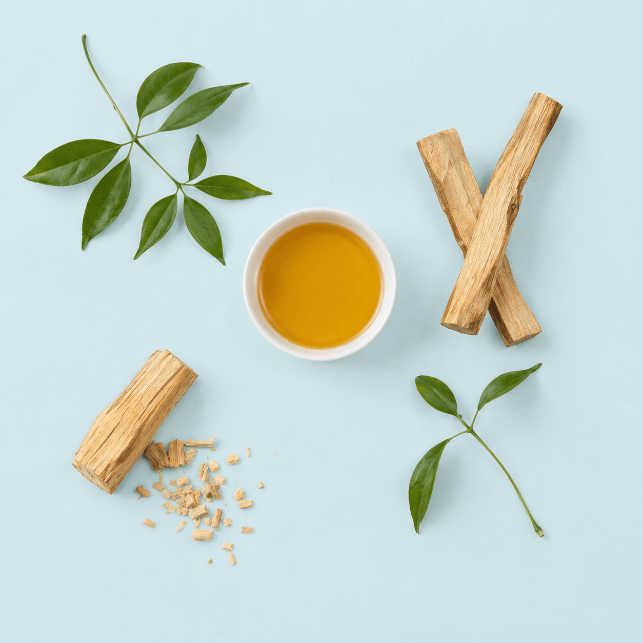 Palo santo (Bursera graveolens)