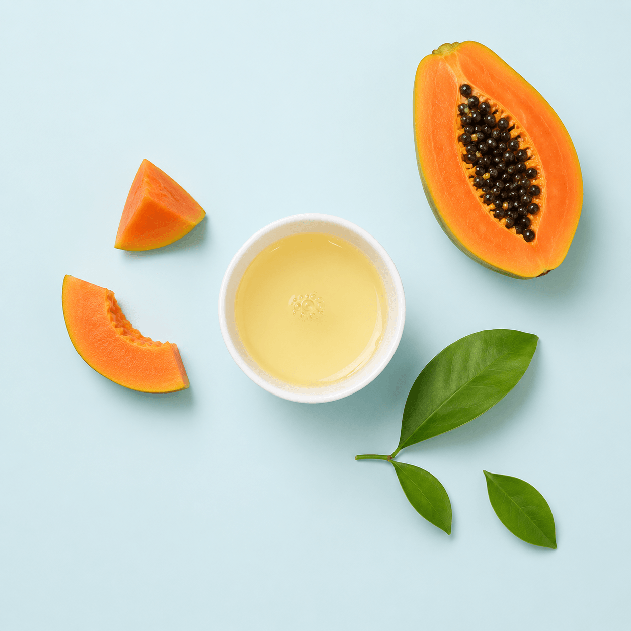 Papaya — Carica papaya