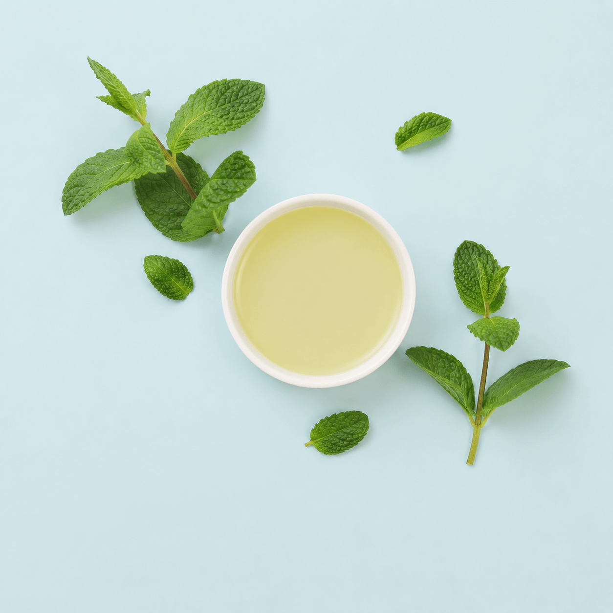 Peppermint (Mentha piperita)