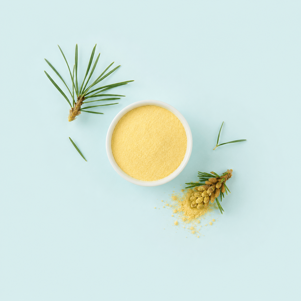 Pine Pollen