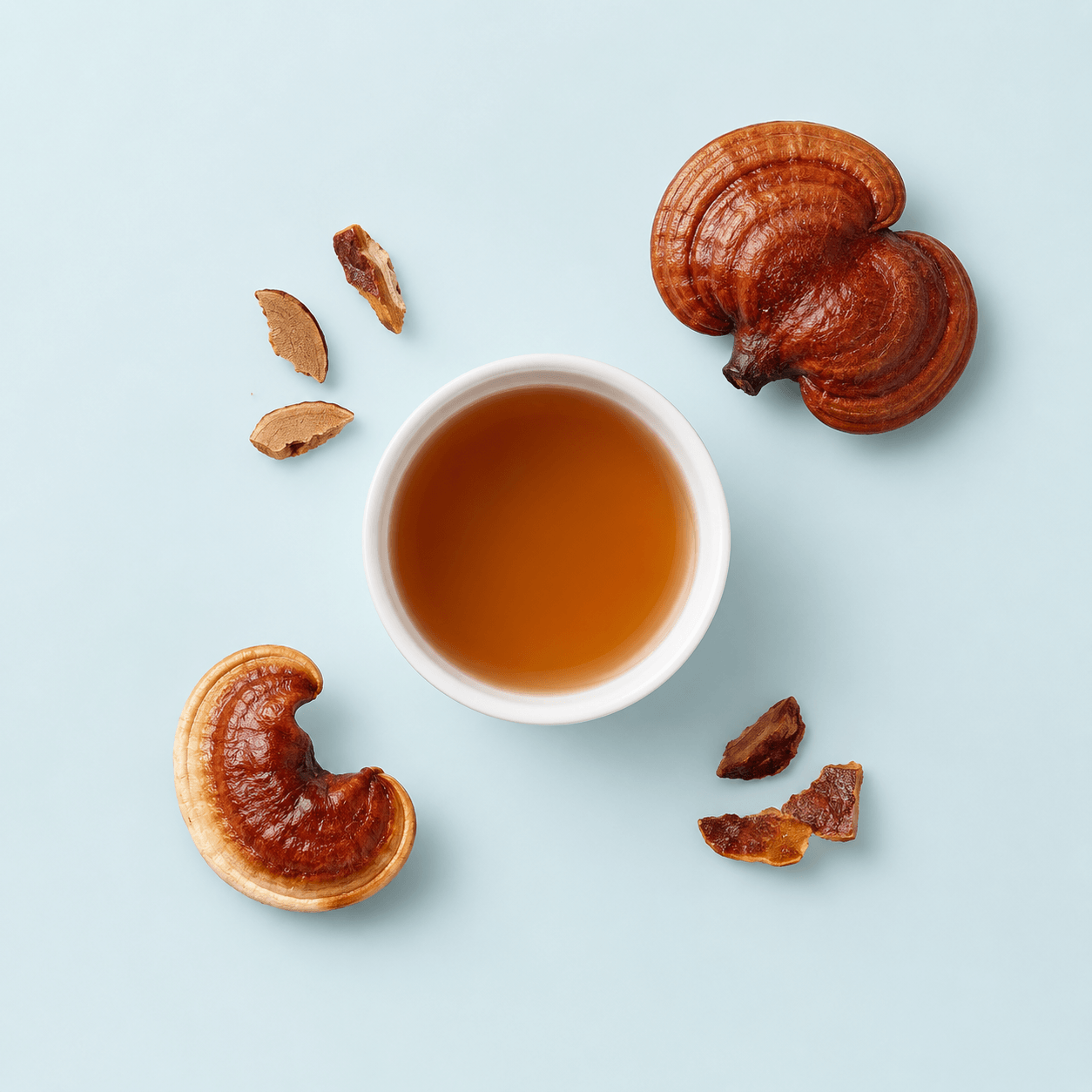 Reishi — Ganoderma lucidum