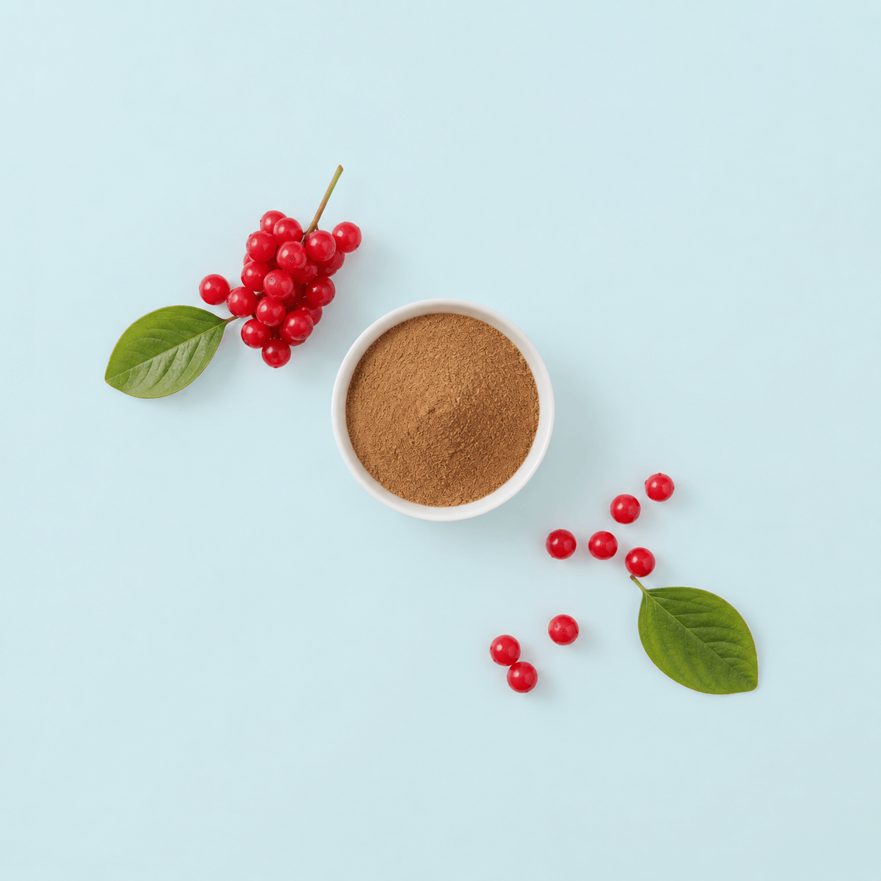 Schisandra Powder 10:1