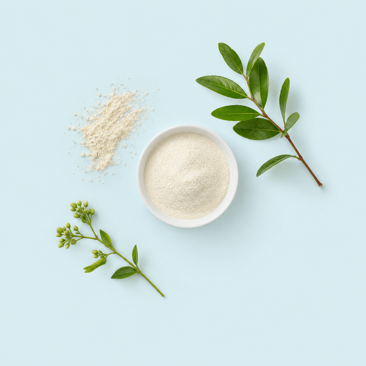 Sclerotium Gum