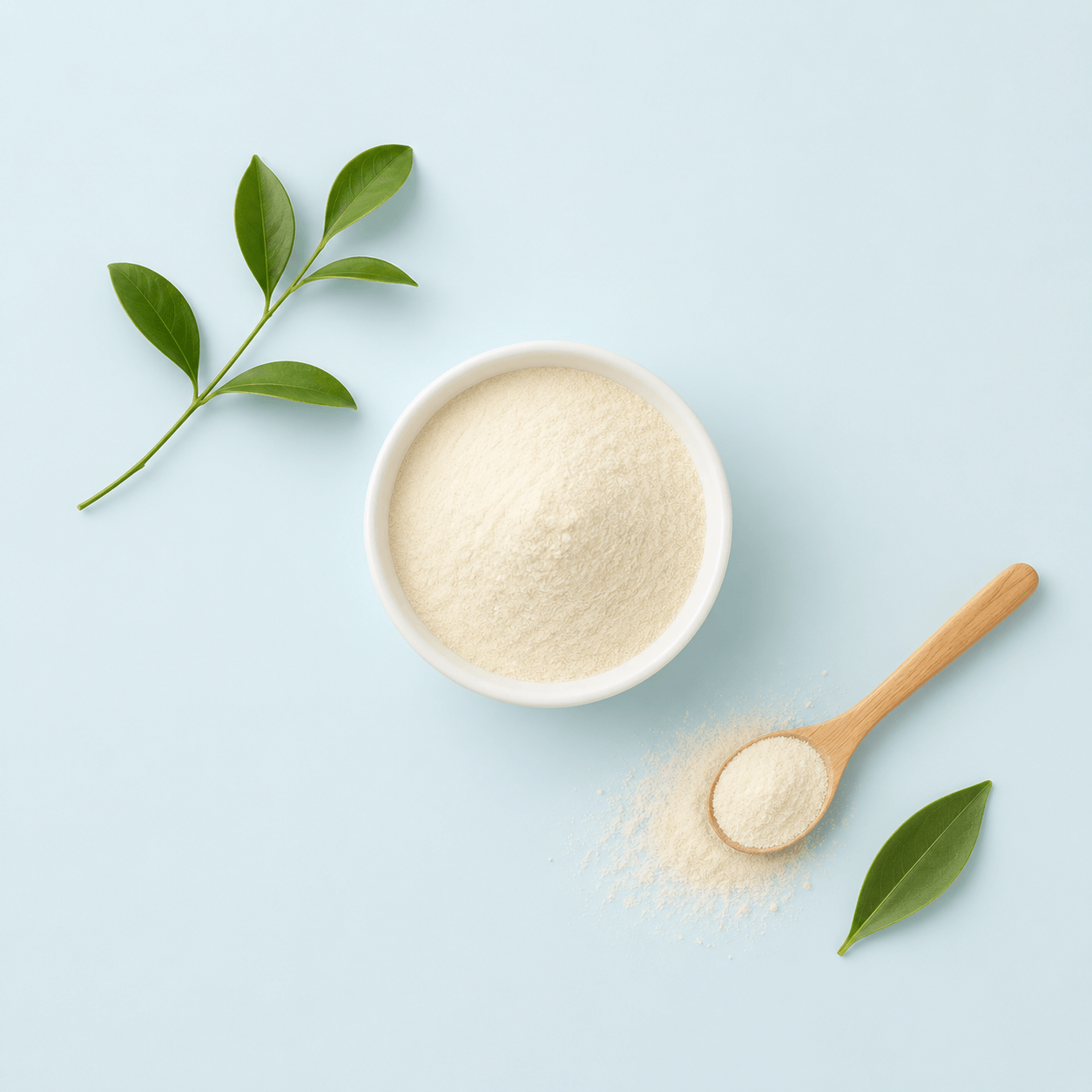 Xanthan Gum Powder