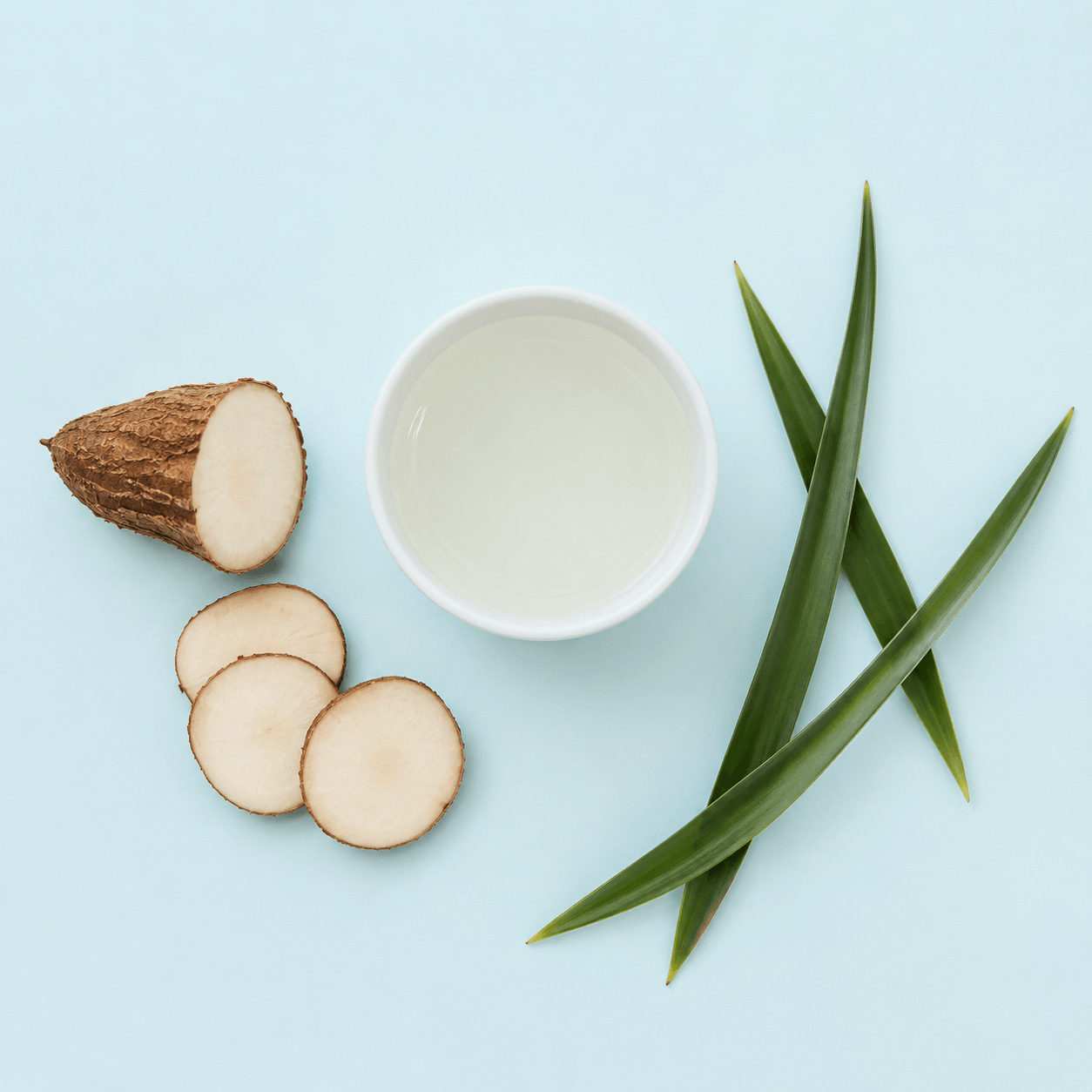 Yucca root — Yucca spp.