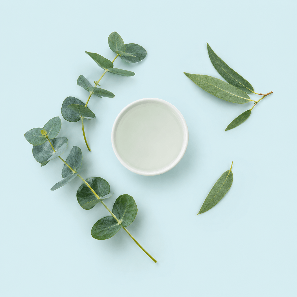 Eucalyptus Mist - Organic