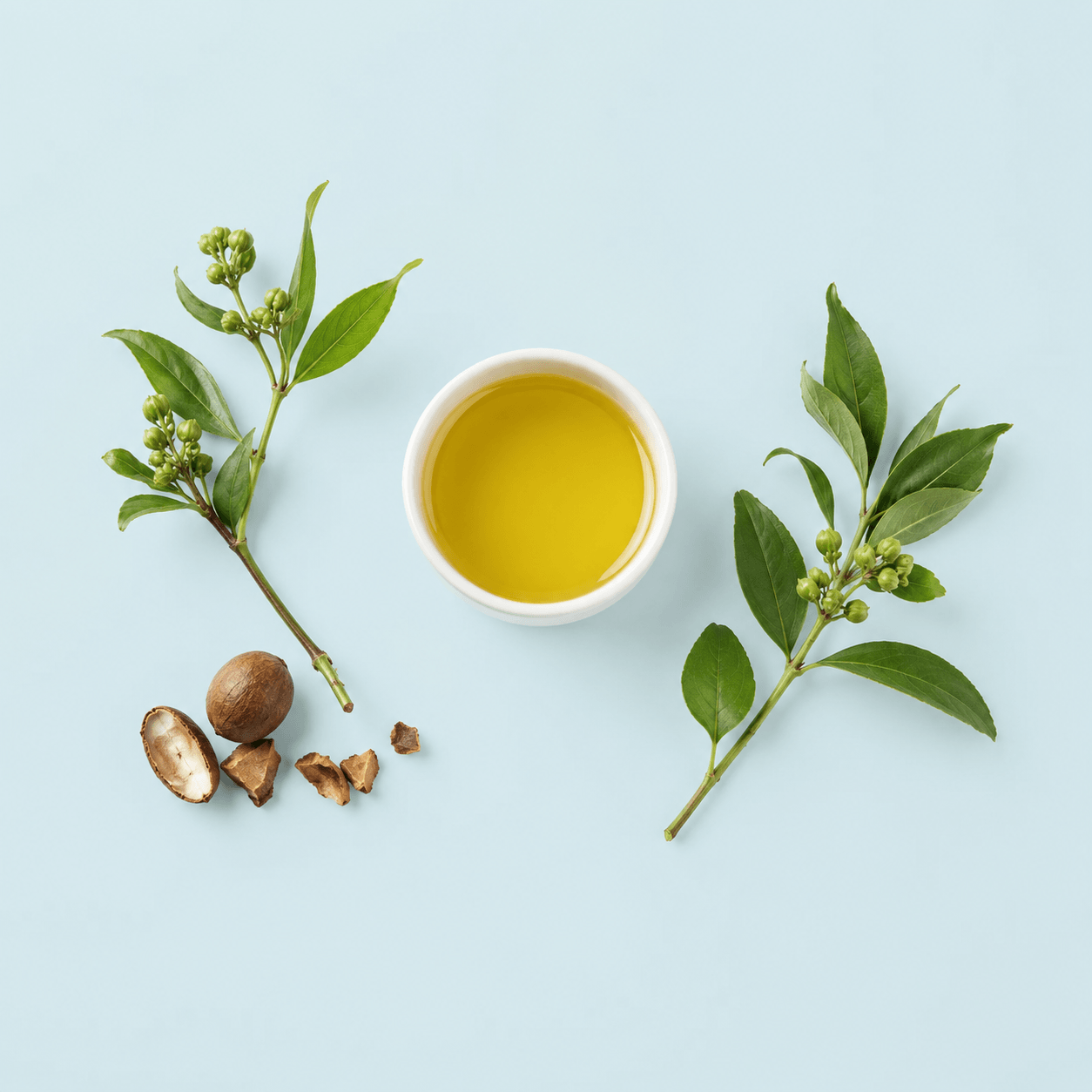 Overnight Botanical Hair Oil - Certified Organic