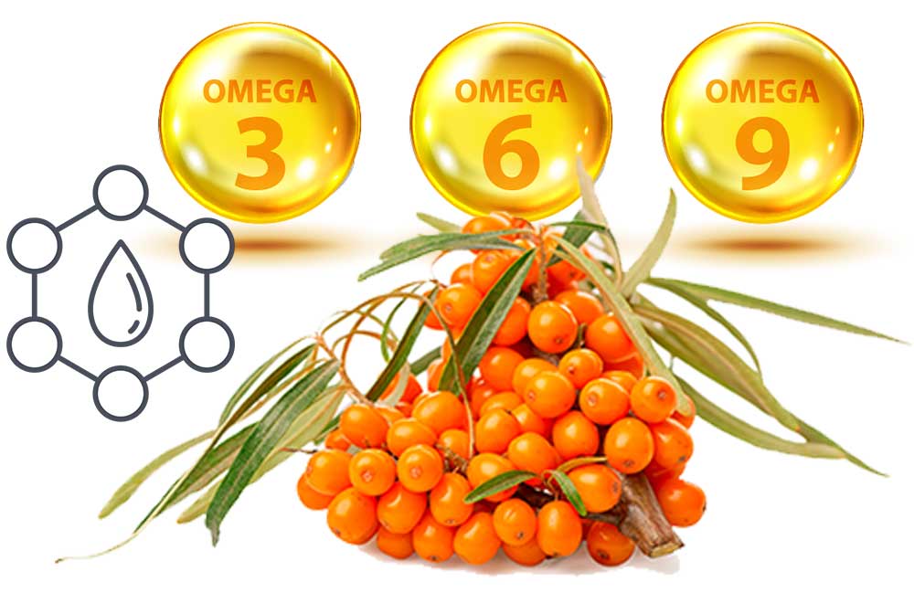 WHAT IS SEA BUCKTHORN OIL?