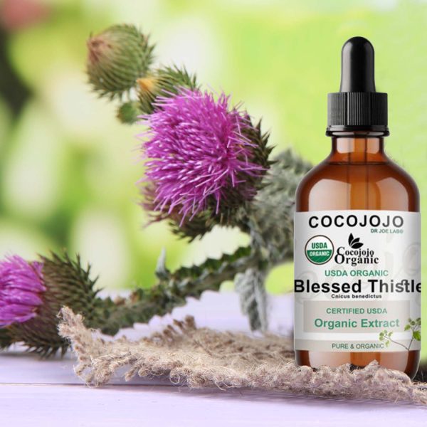 Blessed Thistle Extract – USDA Organic 4 oz