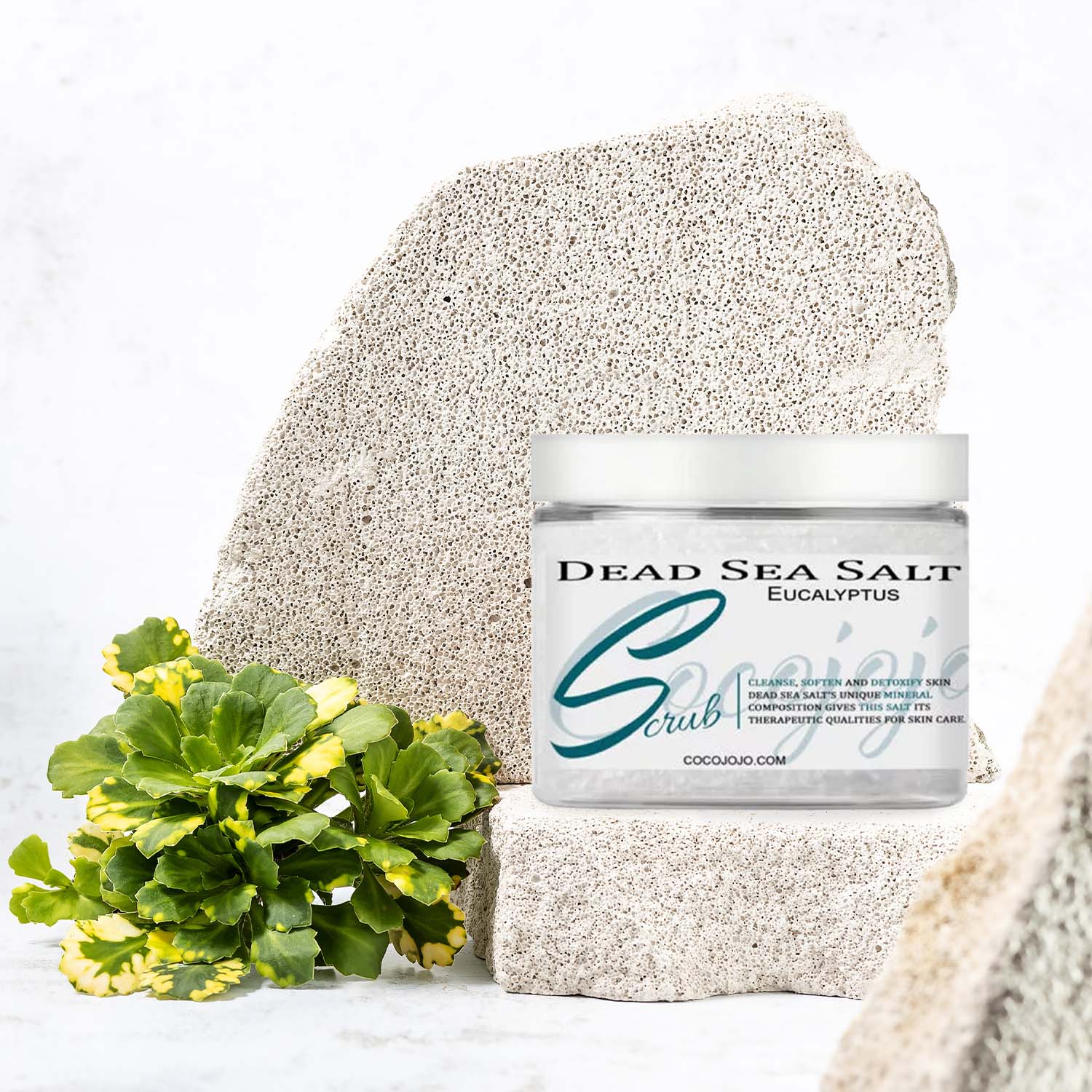 Dead Sea Salt ScrubEucalyptus Dead Sea Salt Scrub - Wholesale Oils and ...